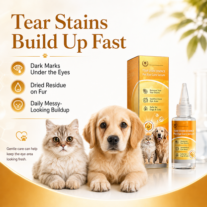 🐶 Buy 2 Get 1 Free now! ✨ Gentle pet eye care—cleaning the eye area and daily fur grooming 👀